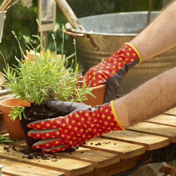 WOLF-Garten GH-M 8 POWER-TOOL GLOVES WOLF-Garten GH-M 8 POWER-TOOL GLOVES